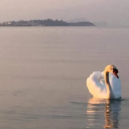 Anai Apartamento Sirmione