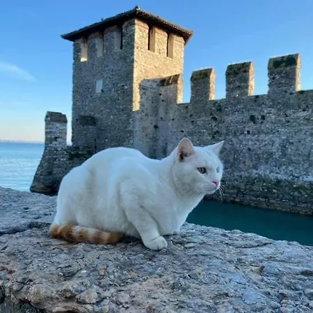 Anai * Sirmione
